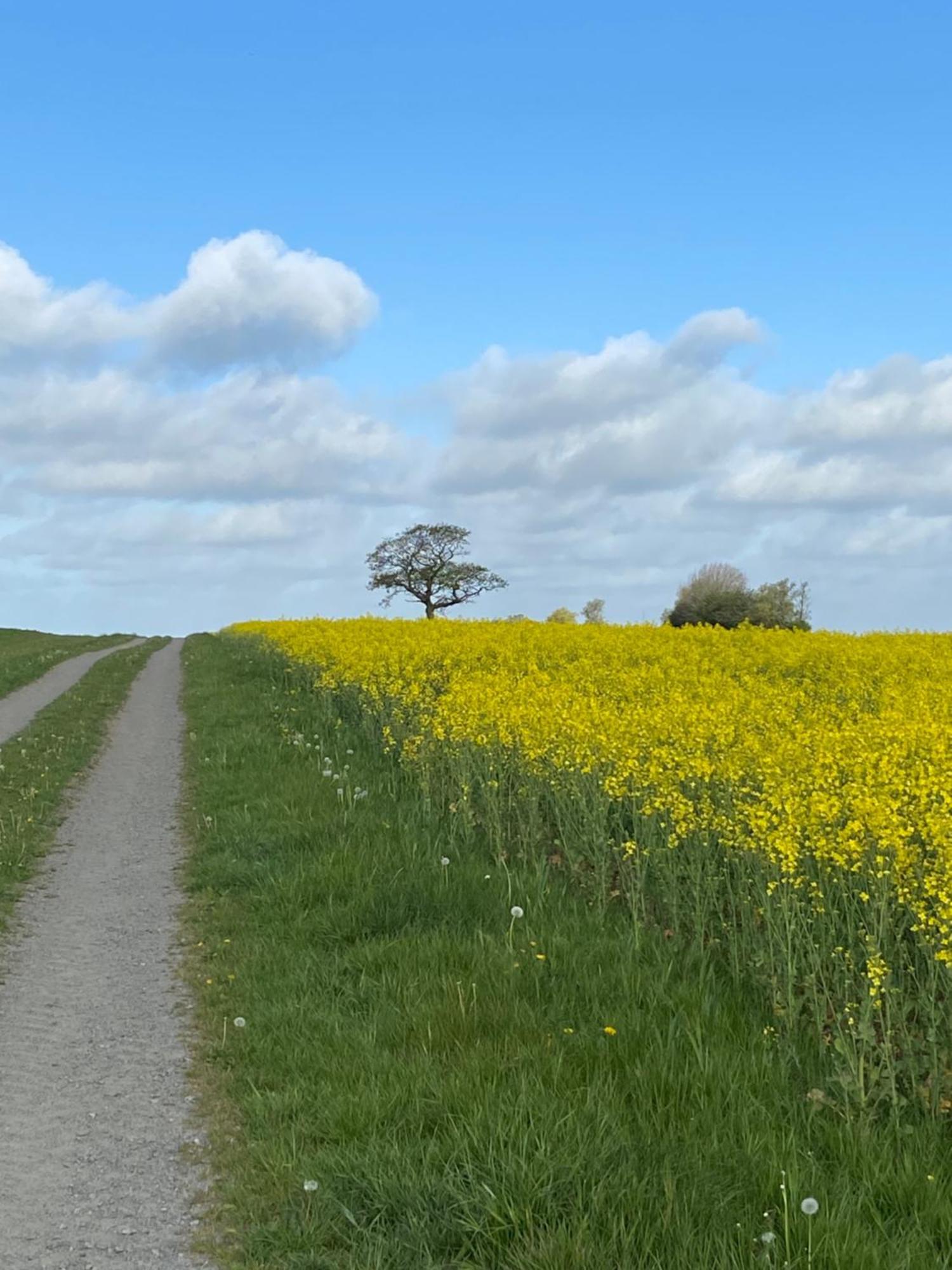 Blomstertantens Hus Trelleborg Ngoại thất bức ảnh