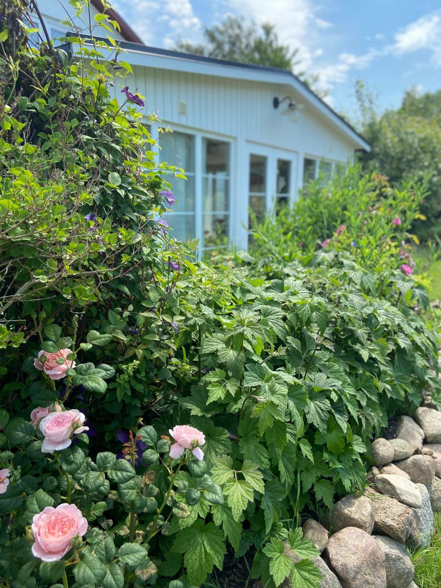 Blomstertantens Hus Trelleborg Ngoại thất bức ảnh