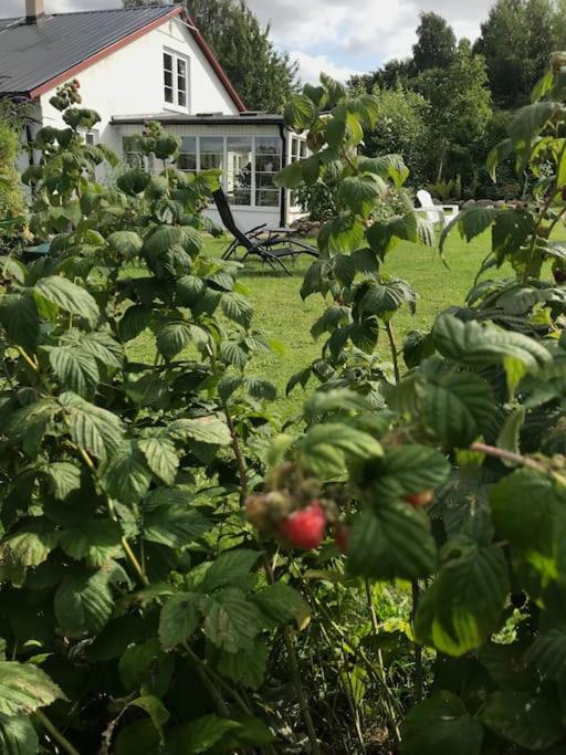 Blomstertantens Hus Trelleborg Ngoại thất bức ảnh
